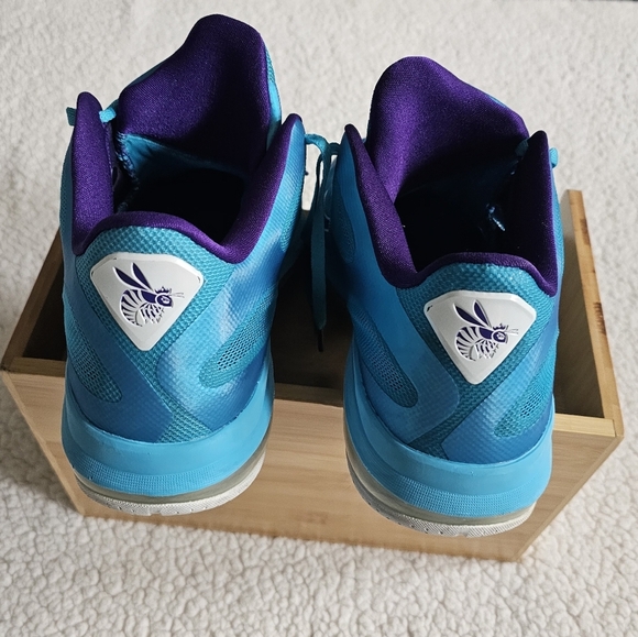 Size 13 - Nike LeBron 9 Low Summit Lake Hornets